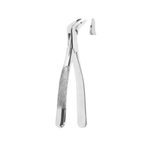 Extracting Forceps American Pattern
