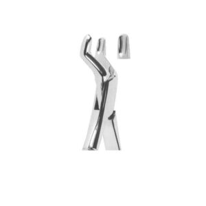 Extracting Forceps American Pattern