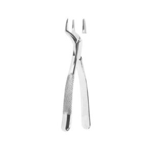 Extracting Forceps American Pattern