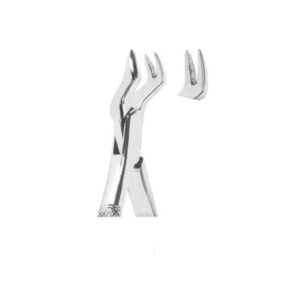 Extracting Forceps American Pattern