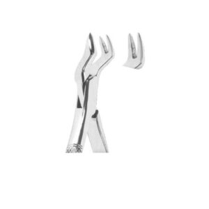 Extracting Forceps American Pattern