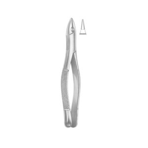 Extracting Forceps American Pattern