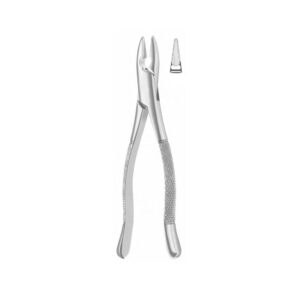Extracting Forceps American Pattern
